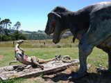 Otway Fly - Travel back through the ages and roam amongst our prehistoric display with a dinosaur around every corner