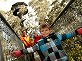 Otway Fly Treetop Adventures - Experience the sensation of being 25 metres above the forest floor