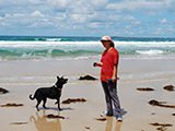 Pet Friendly Accommodation Available