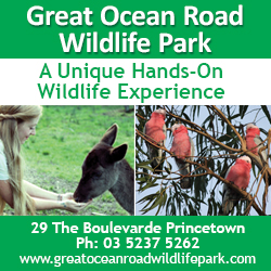Great Ocean Road Wildlife Park