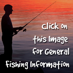 General Fishing Information