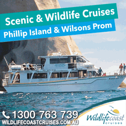 Wildlife Coast Cruises Phillip Island & Wilsons Prom