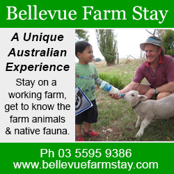 Bellevue Farm Stay