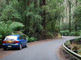 Great Otway National Park - Allow the time to explore