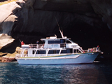 Day Cruises to Wilsons Promontory with Wildlife Coast Cruises