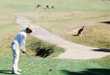 Anglesea Golf Course
