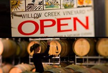 Willow Creek Vineyard