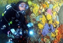 Dive Victoria Scuba Diving - Portsea