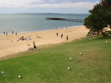Grassy, Picnic Areas With BBQs on the Esplanade