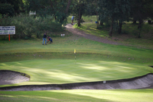 Picturesque Yarram Golf Course with Resident Kangaroos